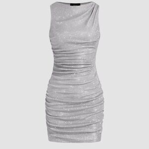 NWT Silver Dress